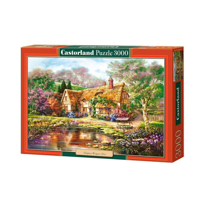 puzzle 3000