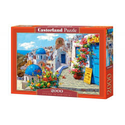 puzzle 2000
