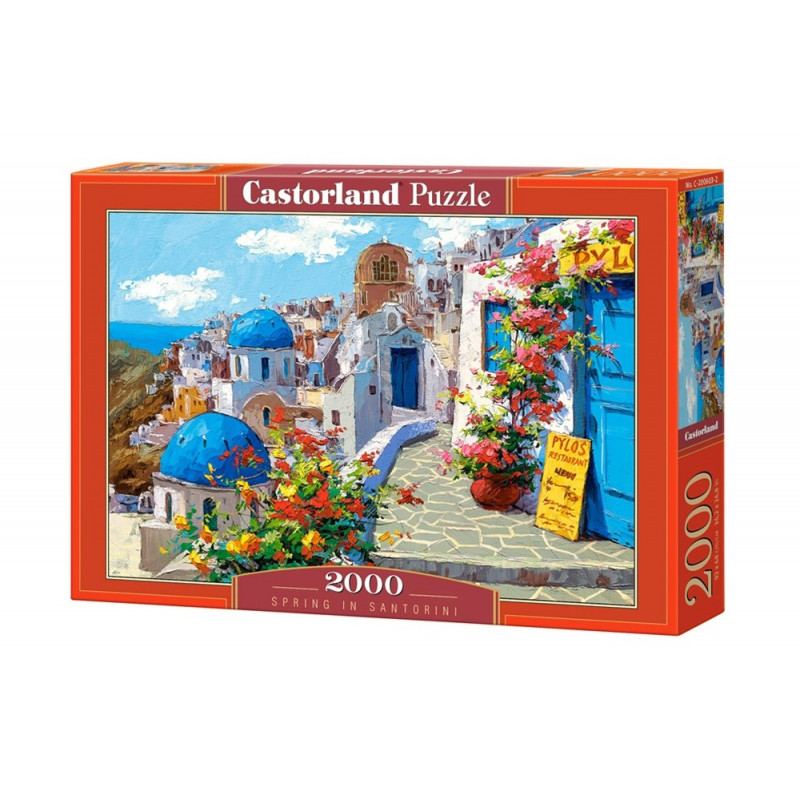 puzzle 2000