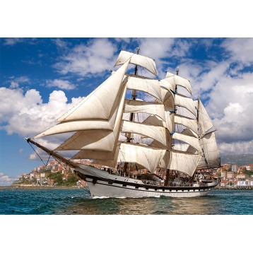 puzzle 500