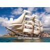 puzzle 500