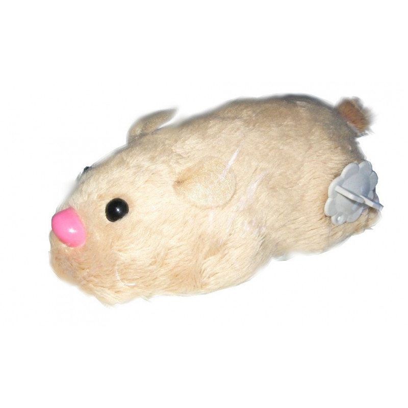 hamster