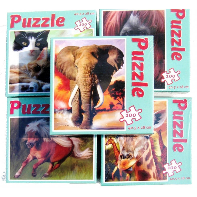 puzzle 100