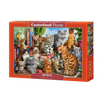 200726. Puzzle 2000 House of Cats