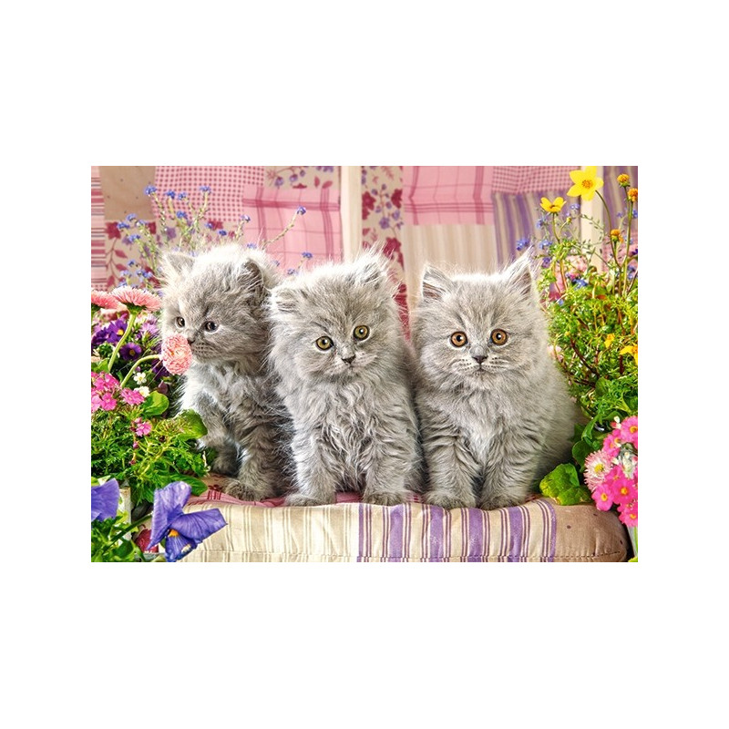 030330. Puzzle 300 Three Grey Kittens