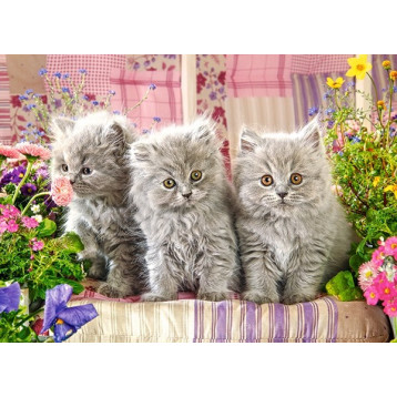 030330. Puzzle 300 Three Grey Kittens