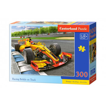 030347. Puzzle 300 Racing Bolide on Track