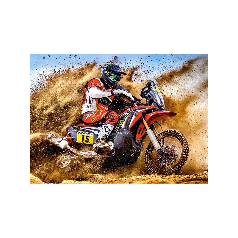 030354. Puzzle 300 Dirt Bike Power