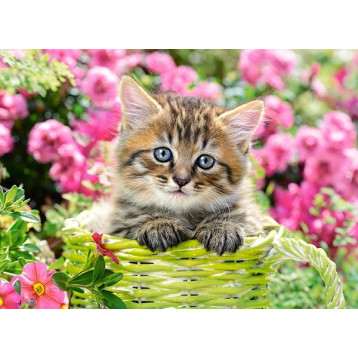 111039. Puzzle 100 Kitten in Flower Garden