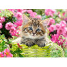 111039. Puzzle 100 Kitten in Flower Garden