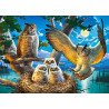 18437. Puzzle 180 Owl Family