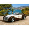 27538. Puzzle 260 Roadster in Riviera