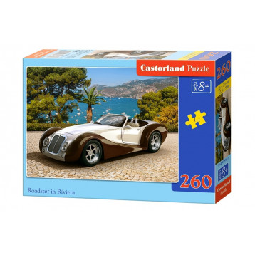 27538. Puzzle 260 Roadster in Riviera