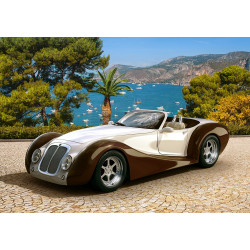 53094. Puzzle 500 Roadster in Riviera