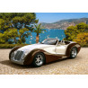 53094. Puzzle 500 Roadster in Riviera