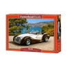 53094. Puzzle 500 Roadster in Riviera