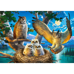 53322. Puzzle 500 Owl Family