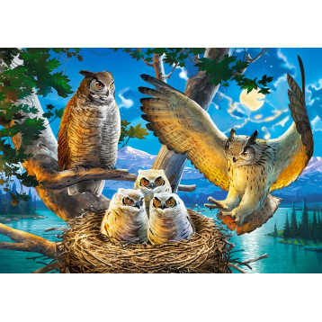 53322. Puzzle 500 Owl Family