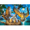 53322. Puzzle 500 Owl Family