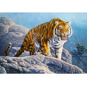 53346. Puzzle 500 Tiger on the Rocks