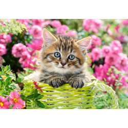 52974. Puzzle 500 Kitten in flower garden 