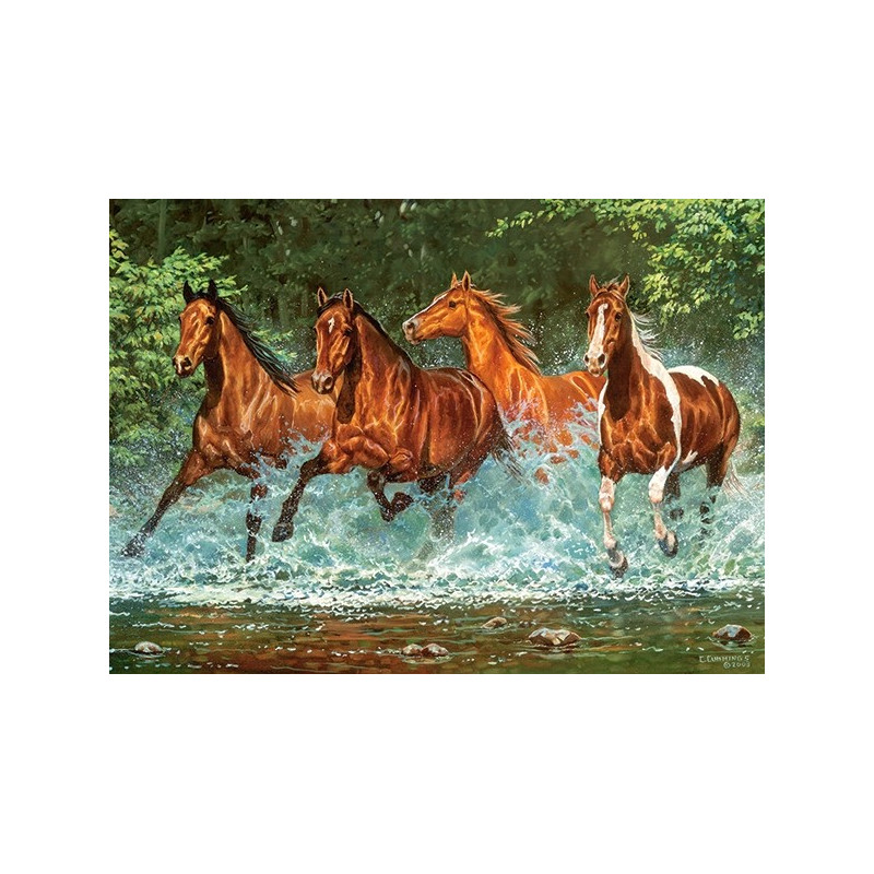 030361. Puzzle 300 Cascade Run