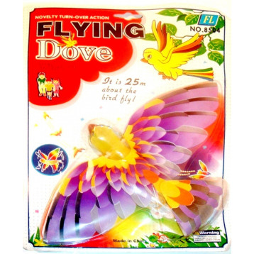 1900. Lendav lind kummimootoriga Flying Dove 