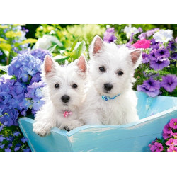 Puzzle 200 Westie Puppies 222032