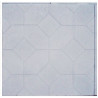 PLASTVORM PLAAT 50x50x5cm (riffel)