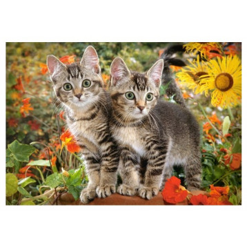 Puzzle 1500 Kitten Buddies 151899