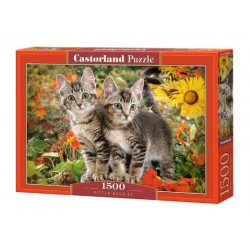 Puzzle 1500 Kitten Buddies 151899