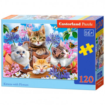 puzzle 120