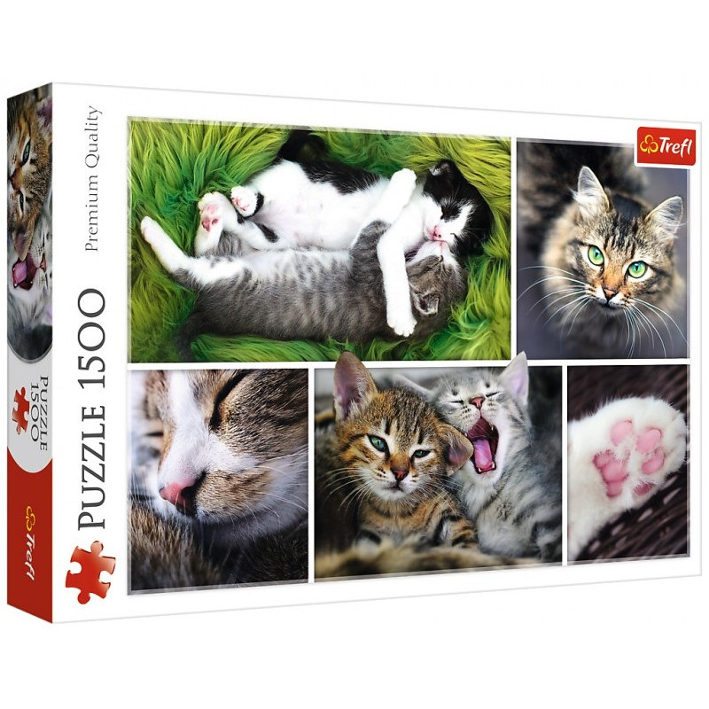 puzzle 1500