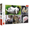 puzzle 1500