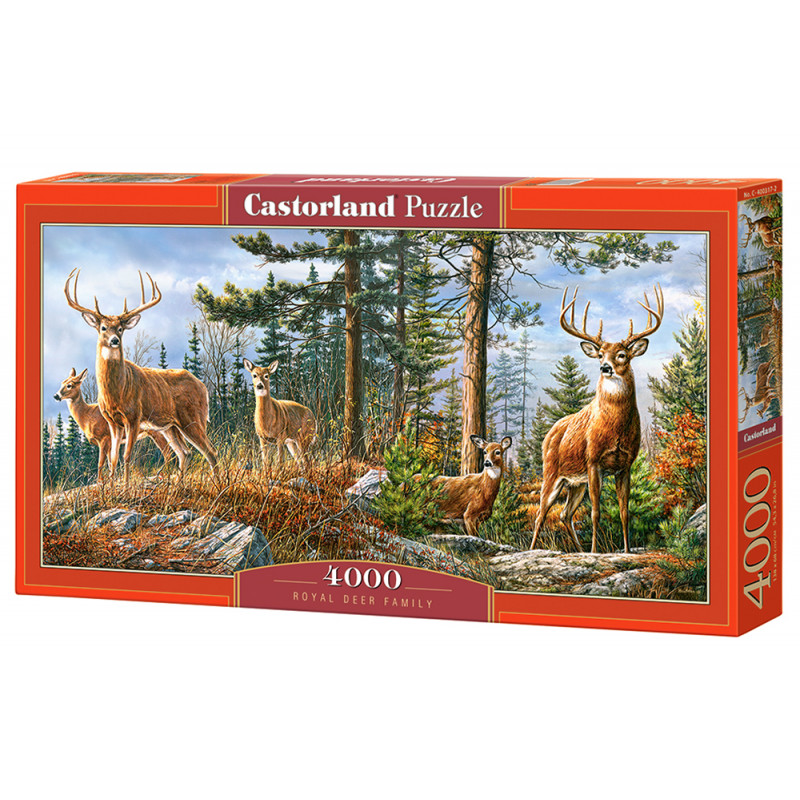 puzzle 4000