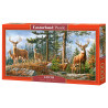 puzzle 4000