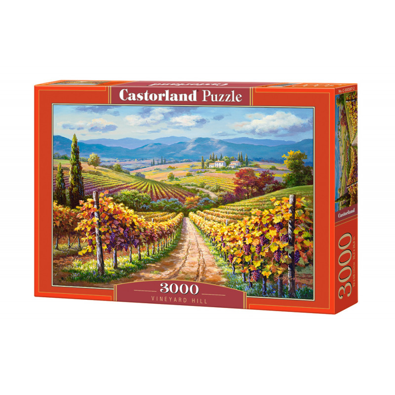 puzzle 3000