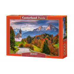 puzzle 2000