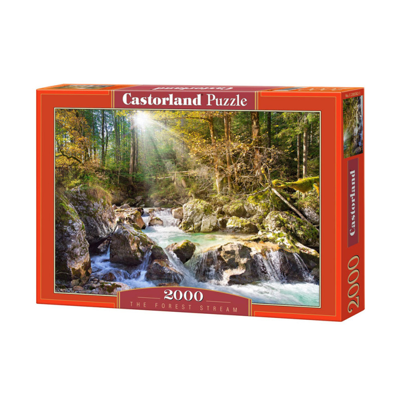 Pusle 2000 The forest stream 200382