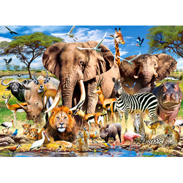 puzzle 260