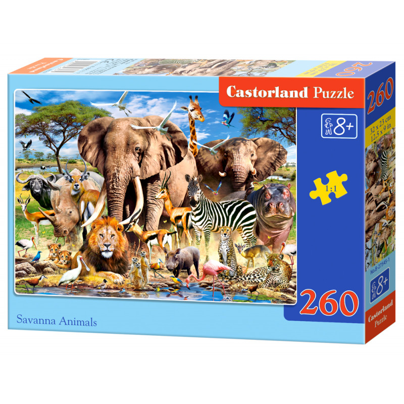 puzzle 260