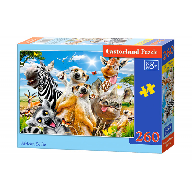 puzzle 260