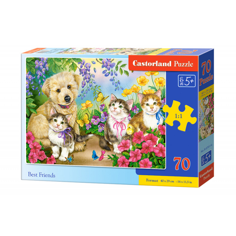 puzzle 70