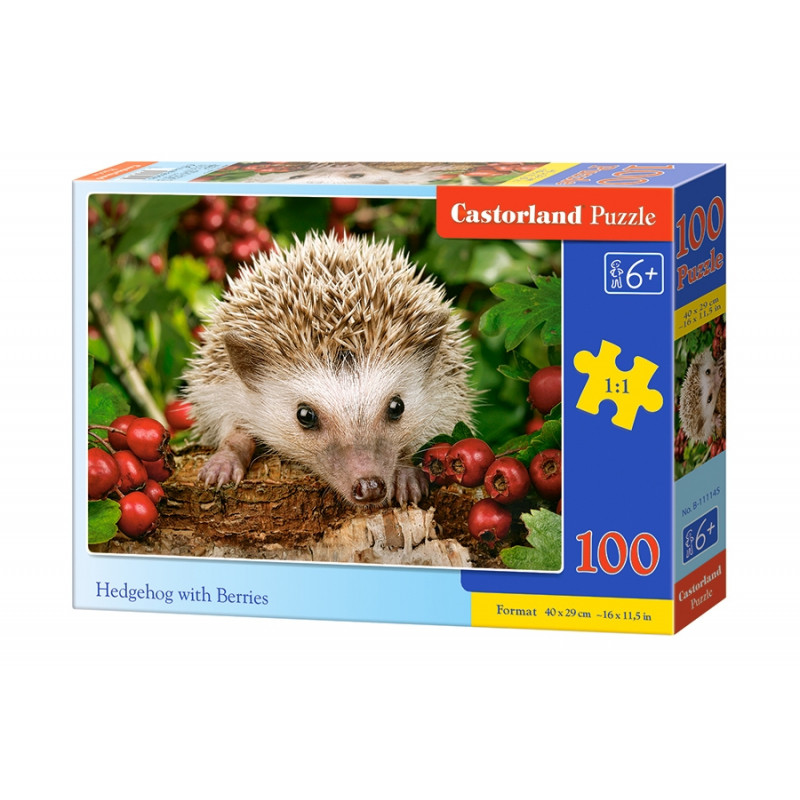 puzzle 100