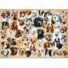 puzzle 200