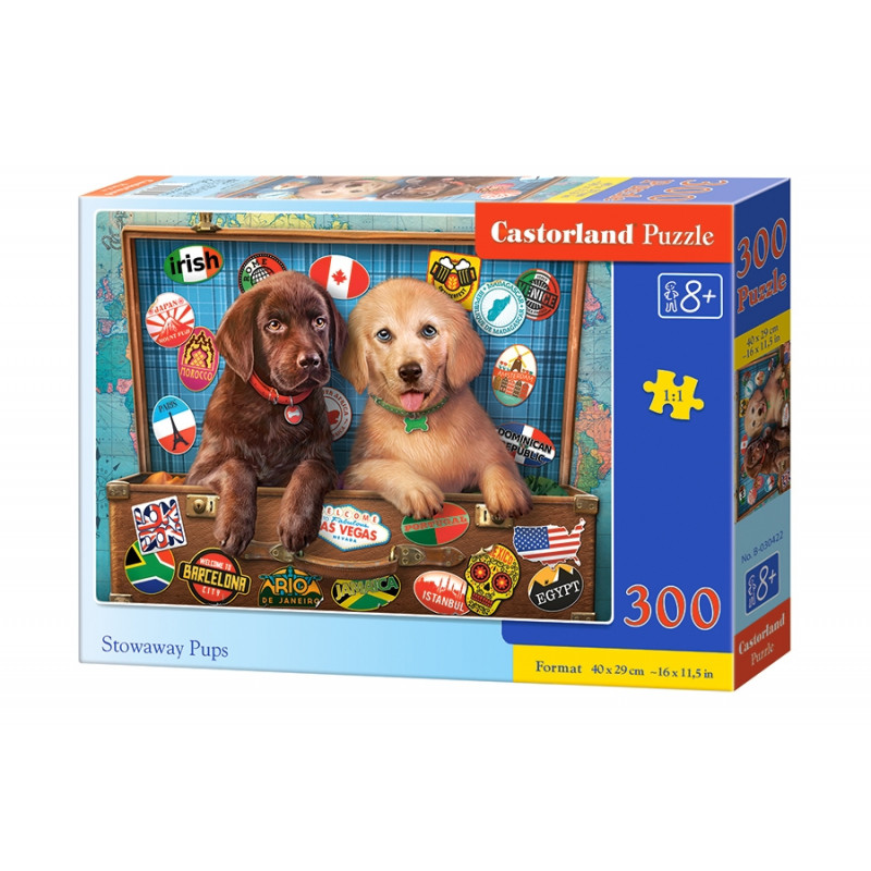 puzzle 300