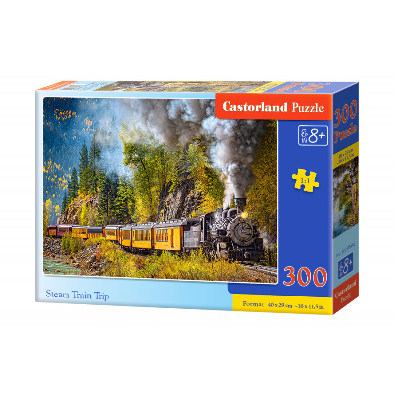 puzzle 300