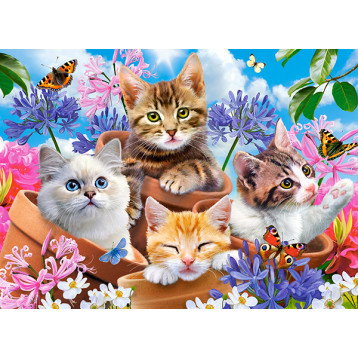 puzzle 70