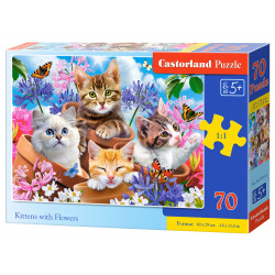 puzzle 70