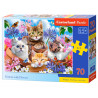 puzzle 70